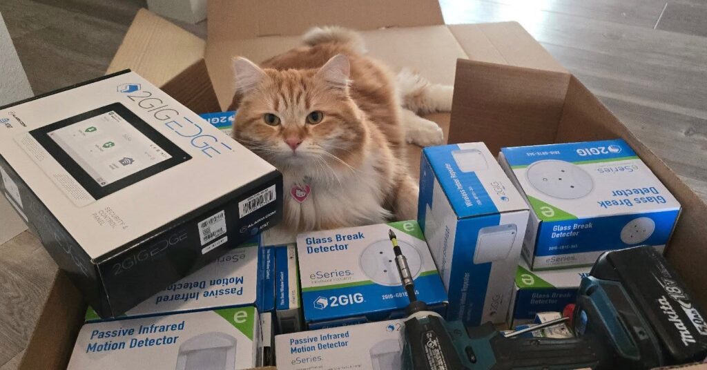 My helper for alarm installation today 😀